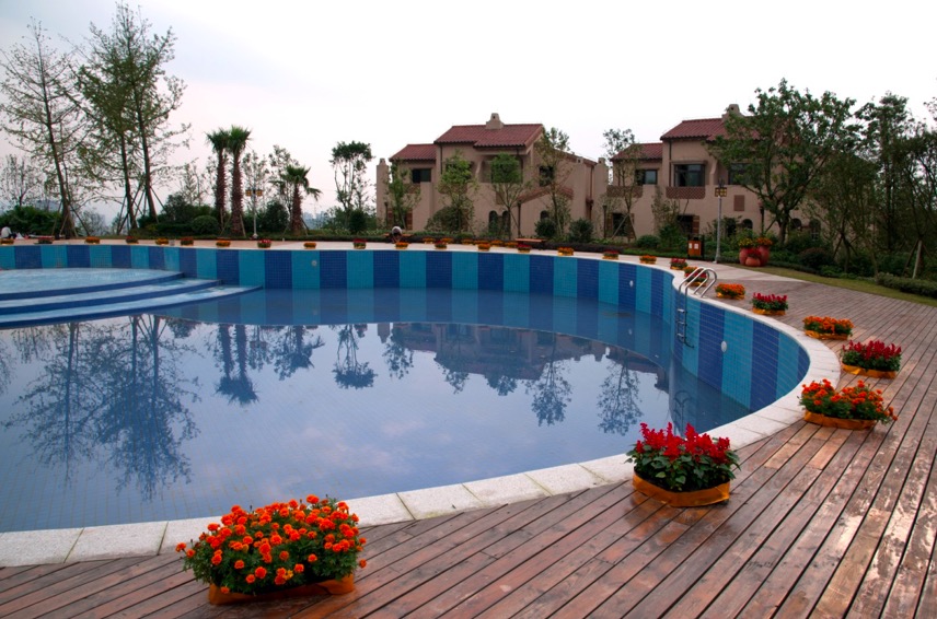 tang05.jpg tang05.jpg