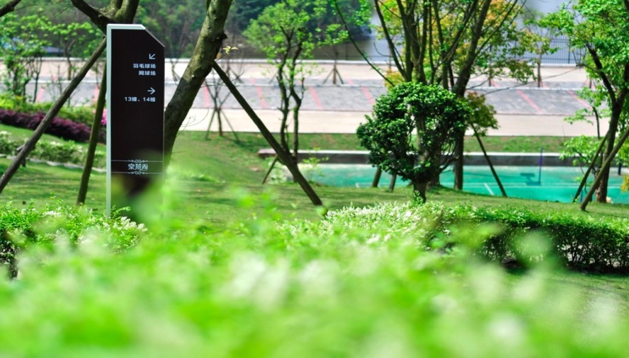 tang06.jpg tang06.jpg